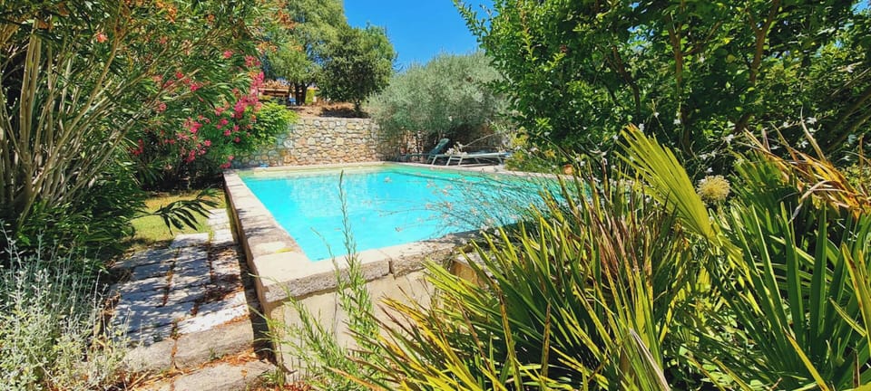 Swimming pool view