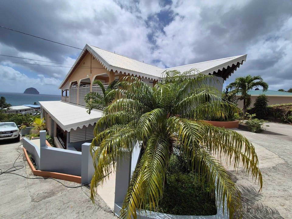 Front view