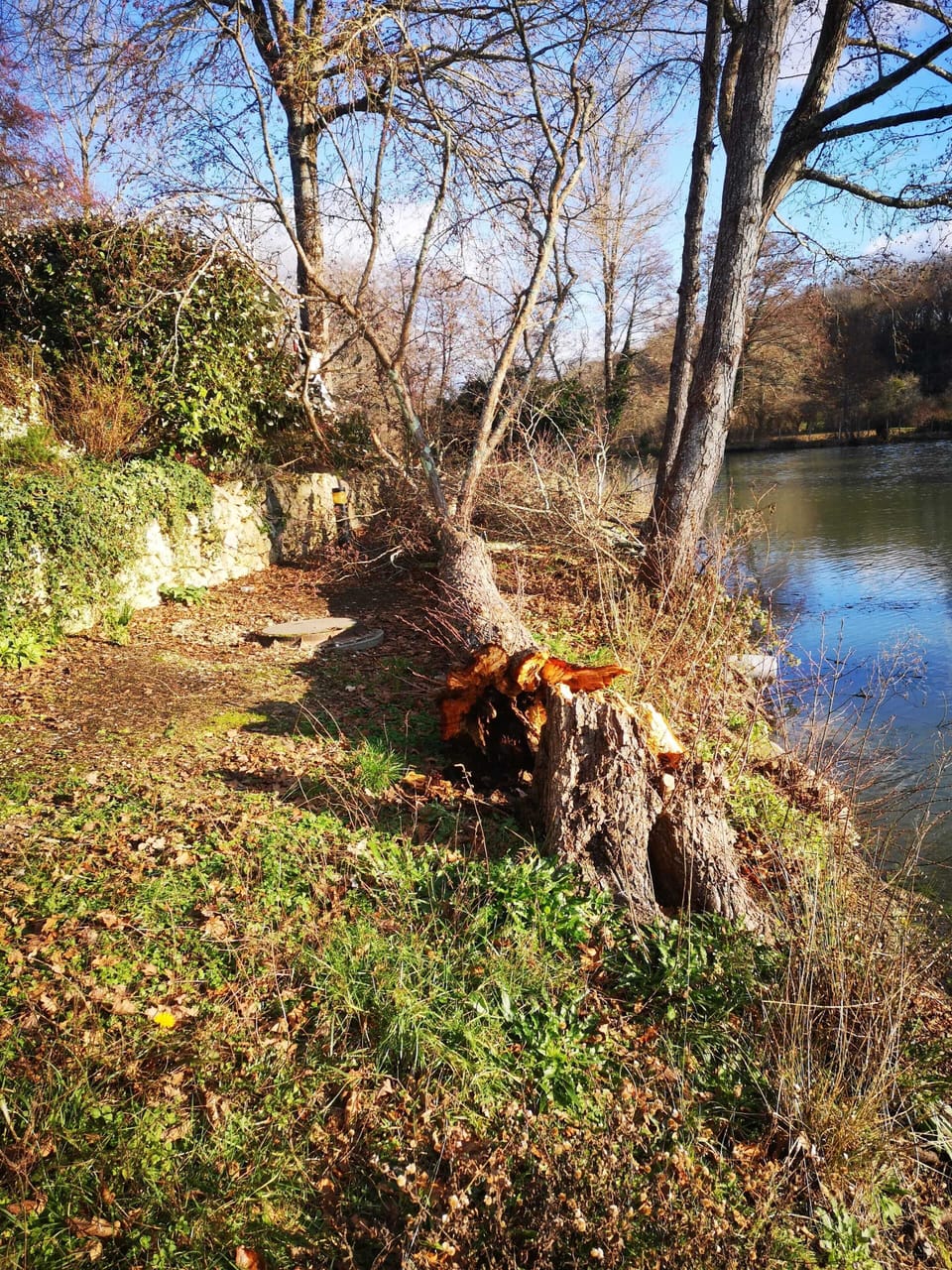 Lake view