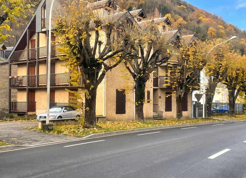 Front view