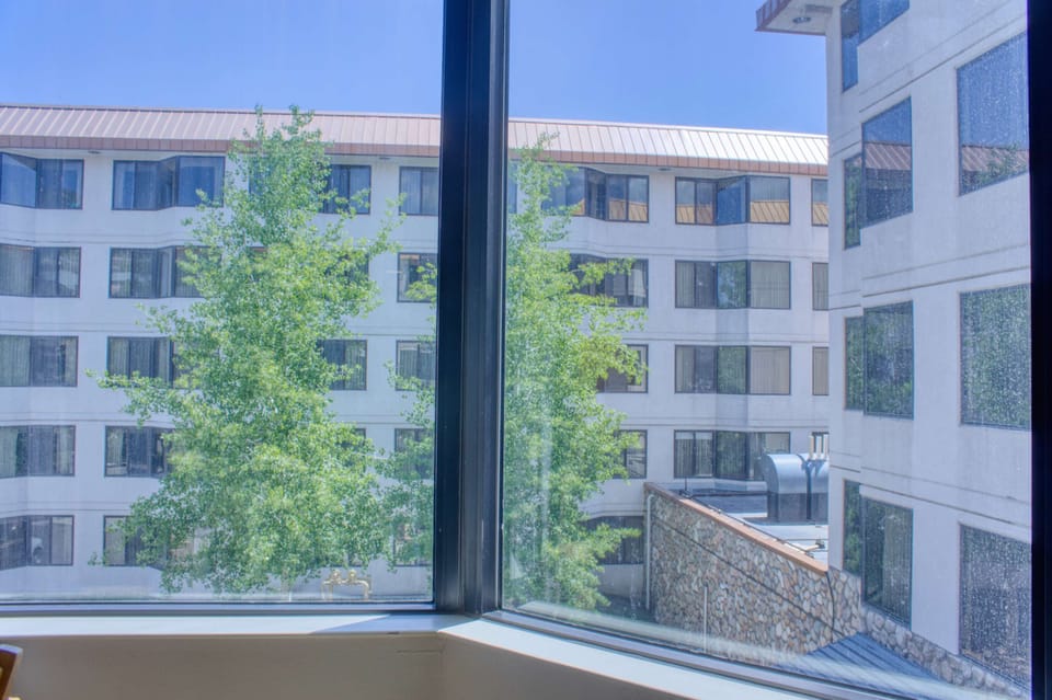 【Your View】The peaks framed from the living-area window