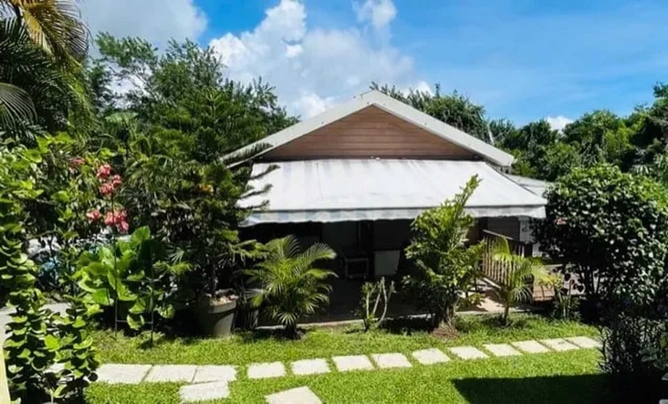 Back view