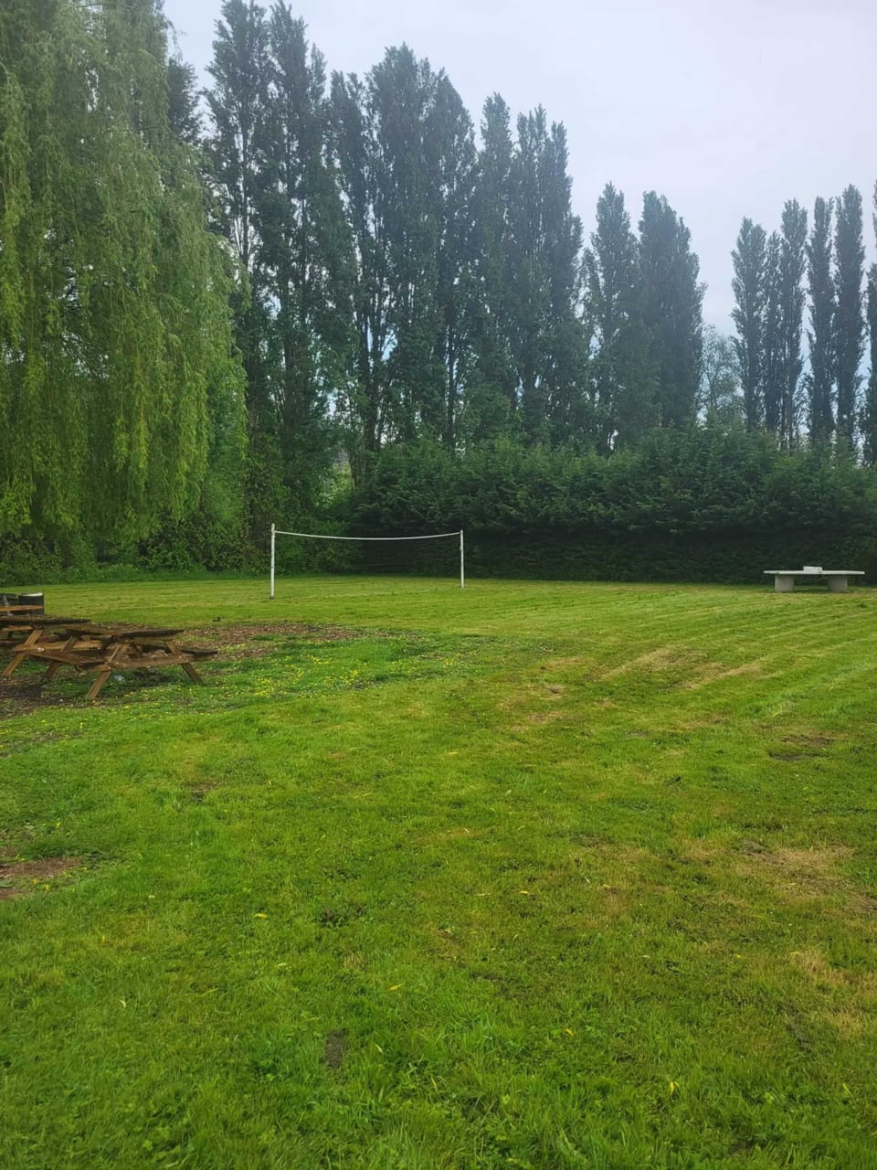 Field (volley/tennis)