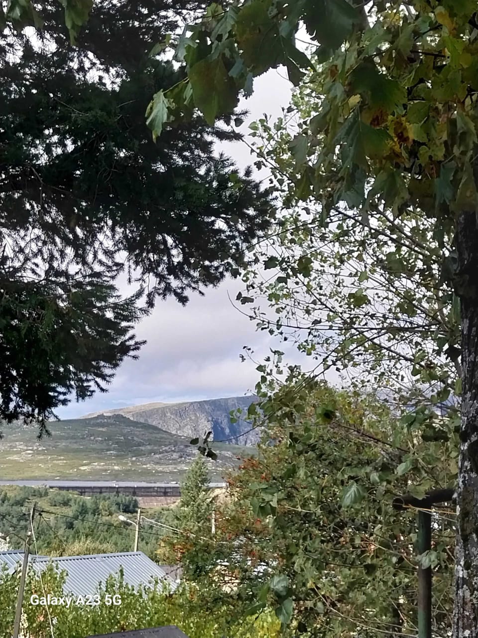 Areal view