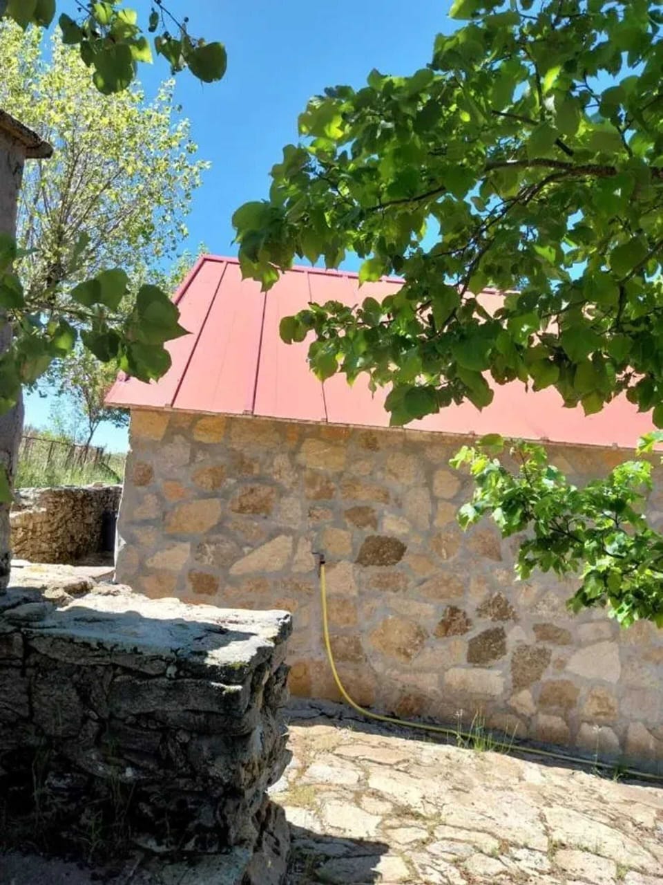 Front view