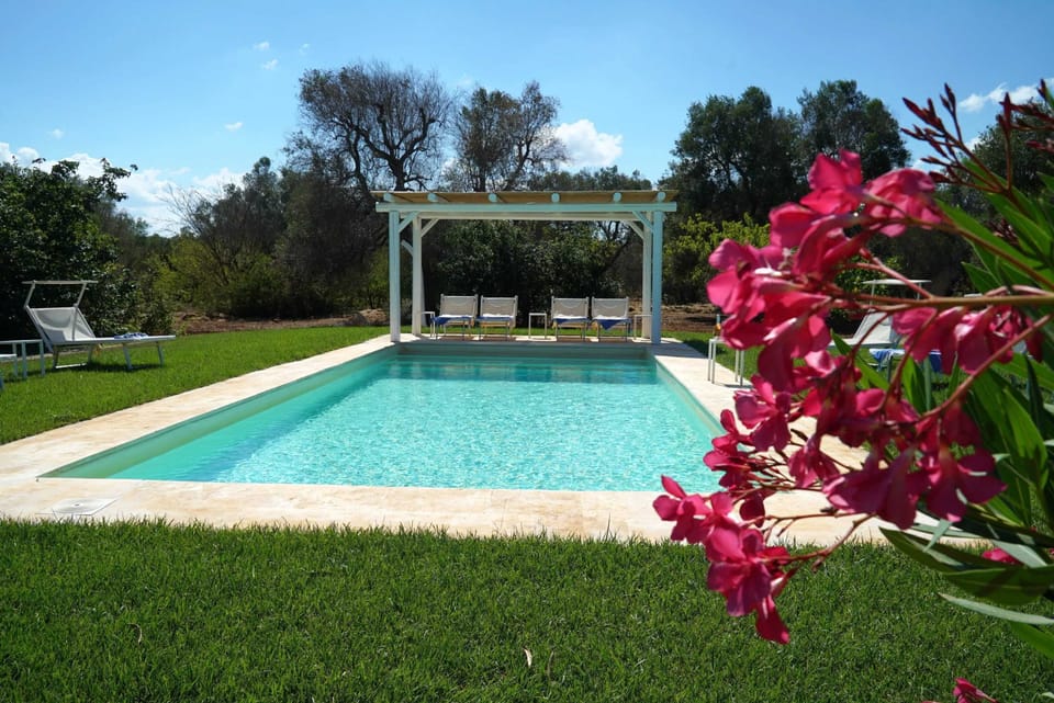 Swimming pool view