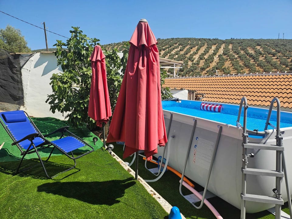 Swimming pool view