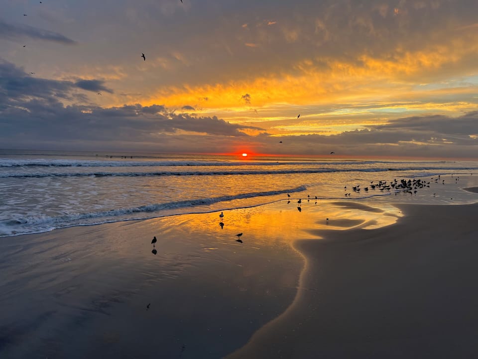 Beach