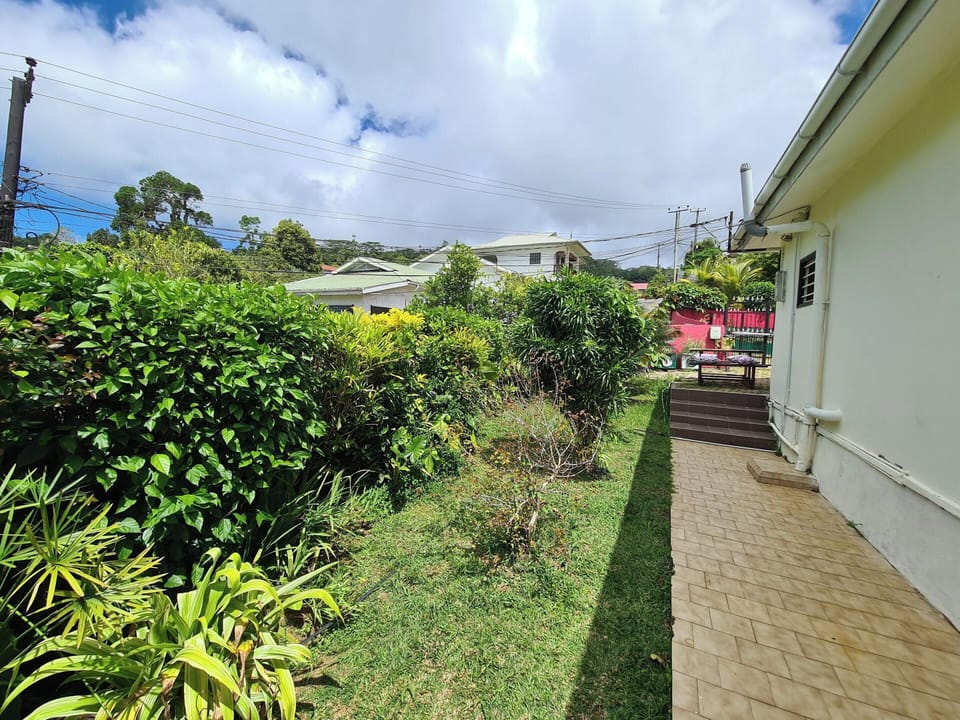 Areal view