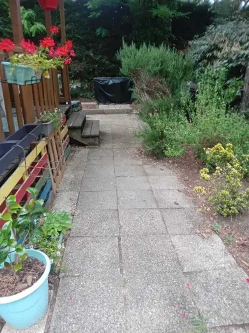 Terrace