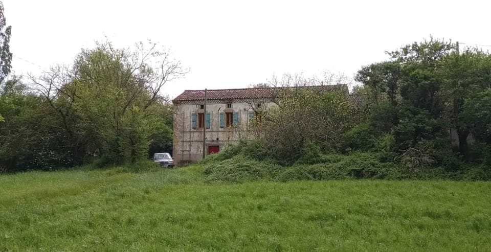 Back view