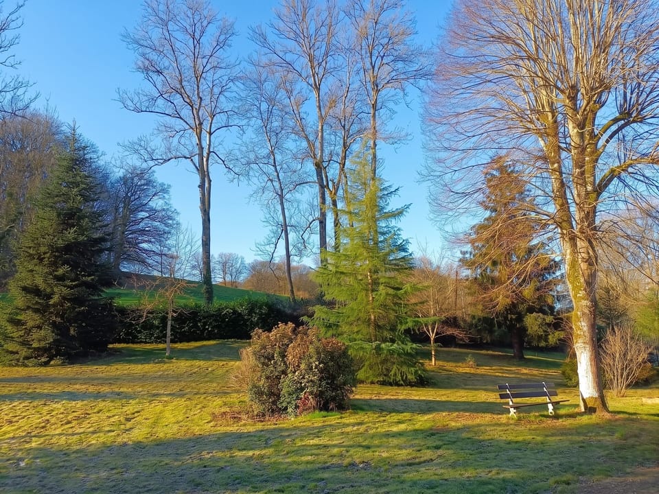 Garden view