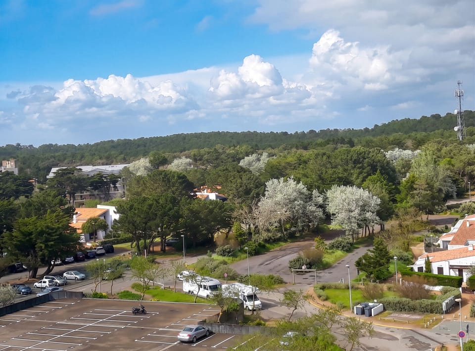 Areal view