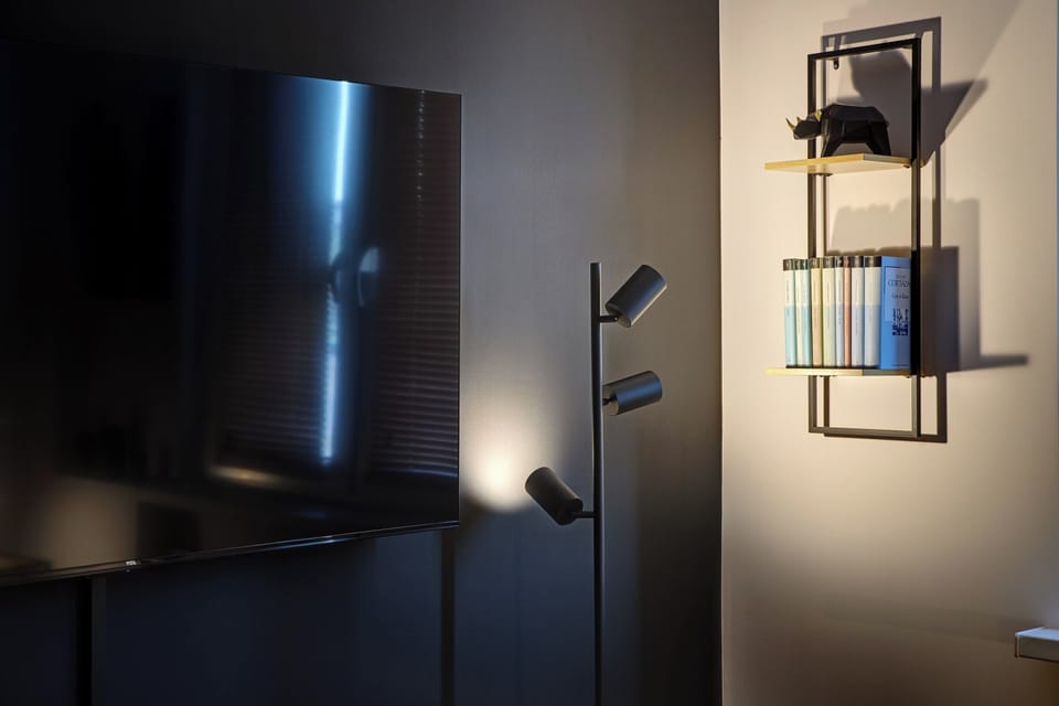 Television