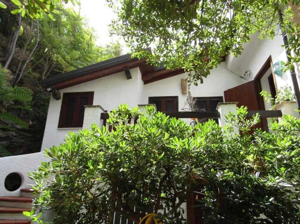 Front view
