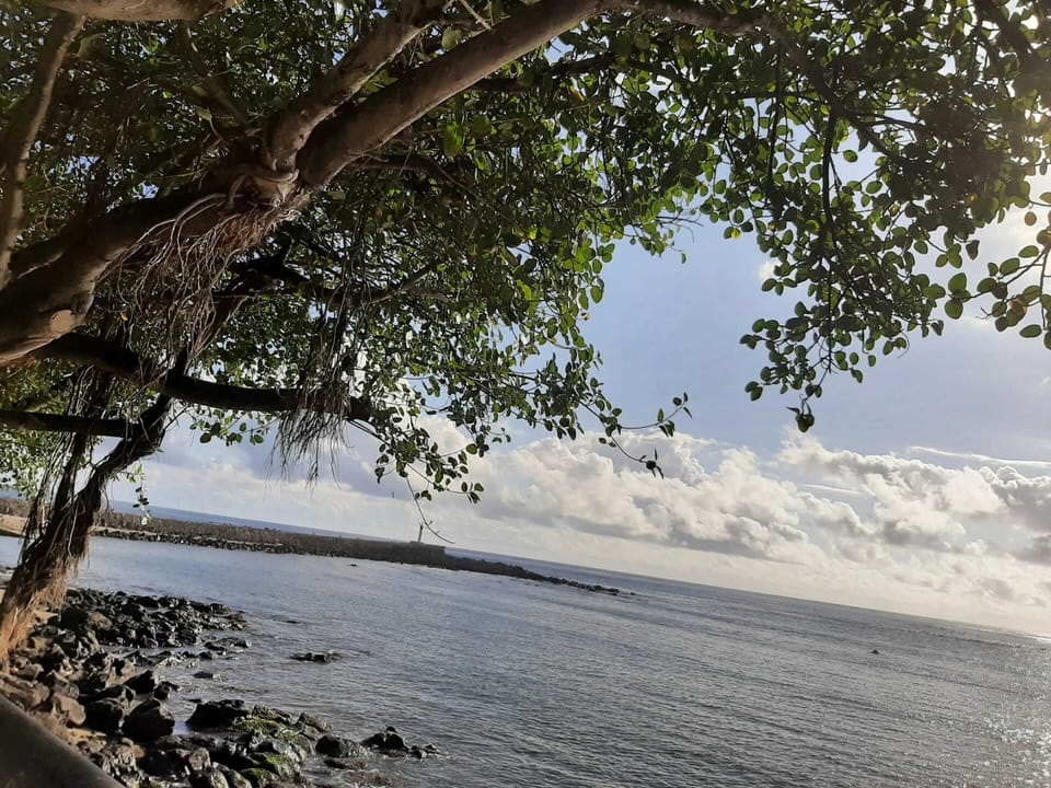 Sea view