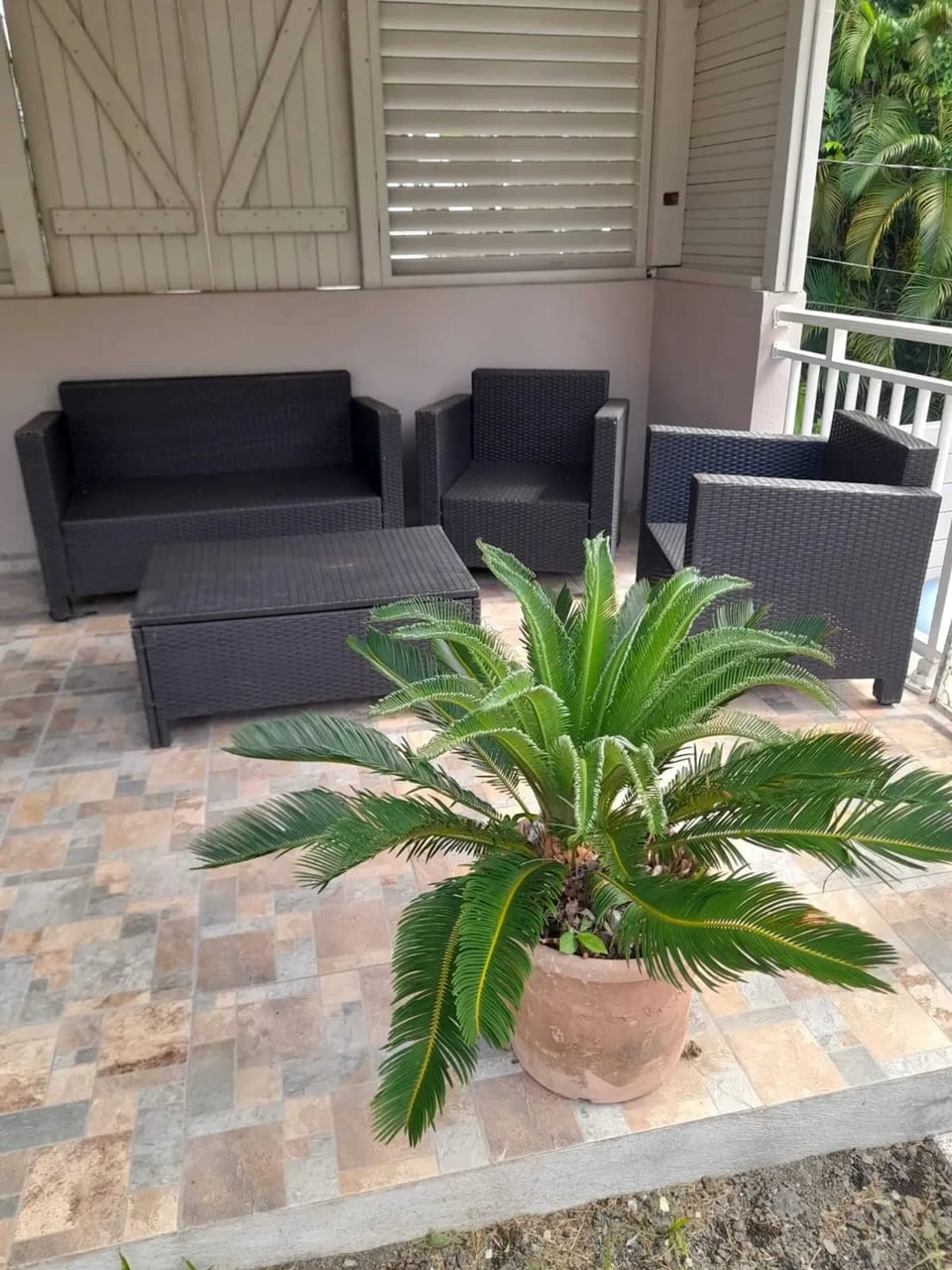 Terrace