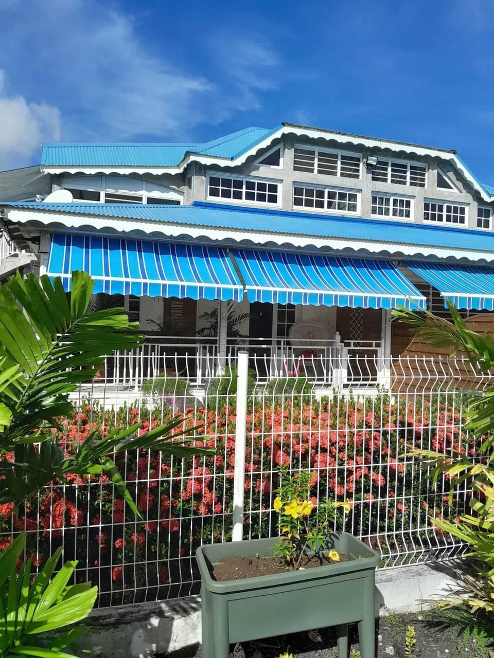 Front view