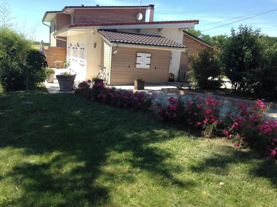 Front view