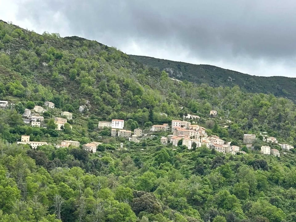 Areal view