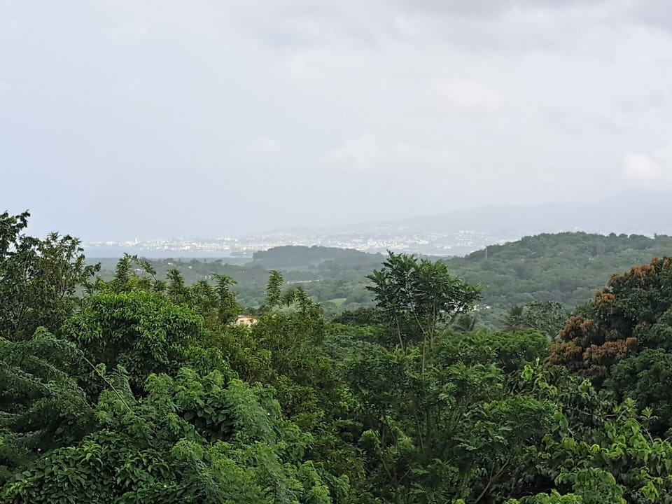 Areal view
