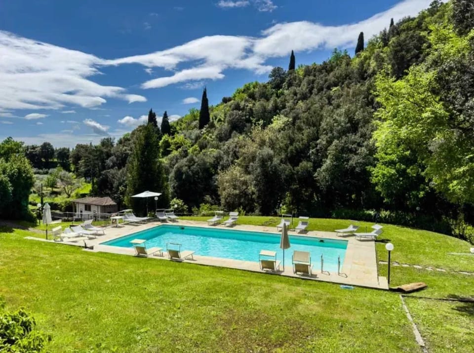 Swimming pool view