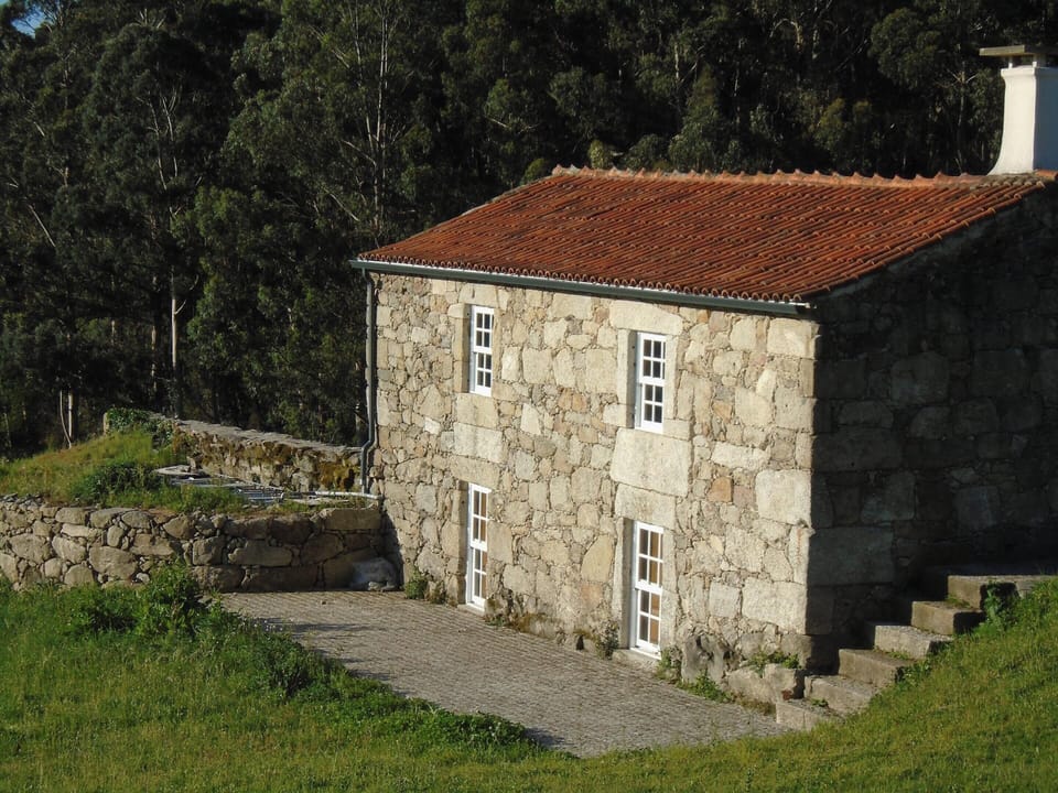 Back view