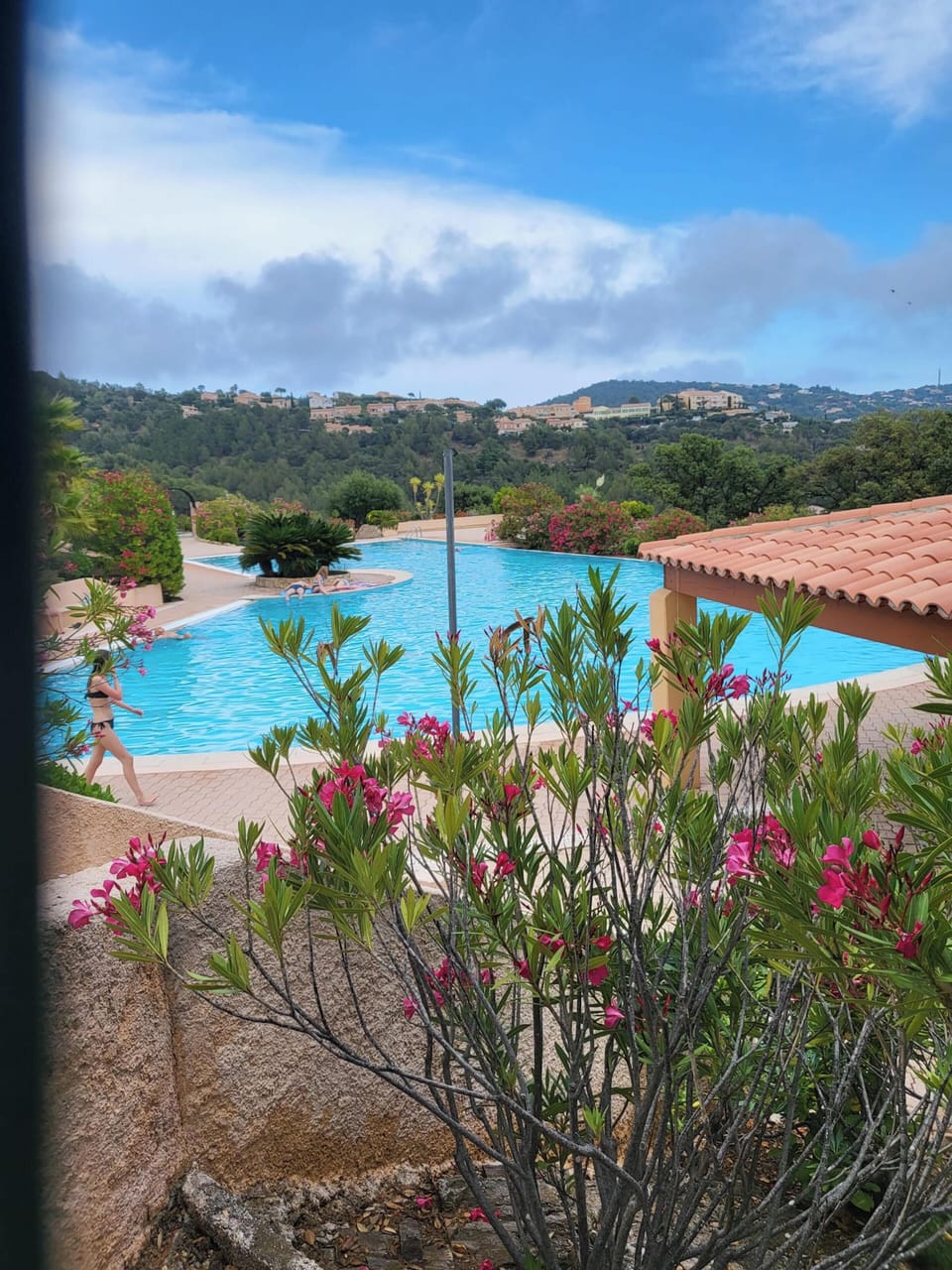 Swimming pool view