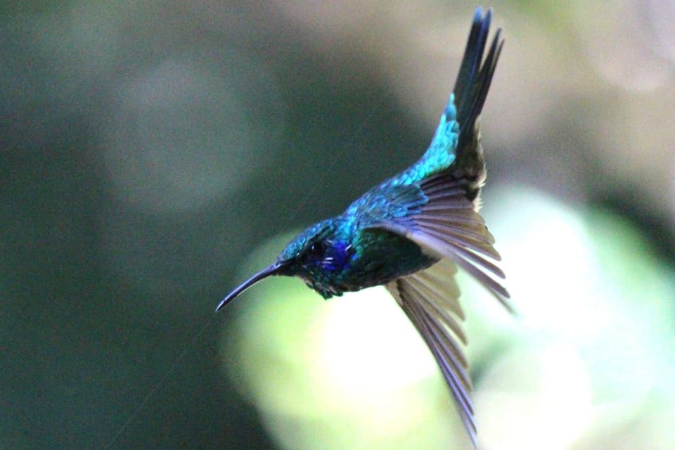 Miscellaneous