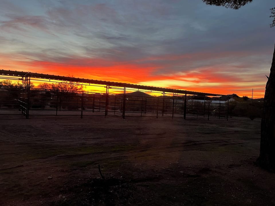 Sunrise over horse pens