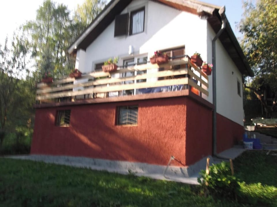 Front view