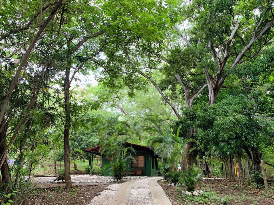 Casa Hoja Playa Grande surf house cottage driveway 