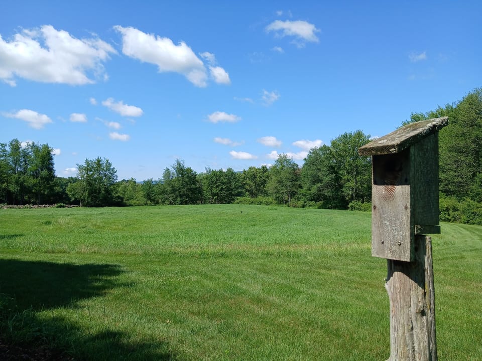 Bluebird house overlooking wildflower meadow and field
