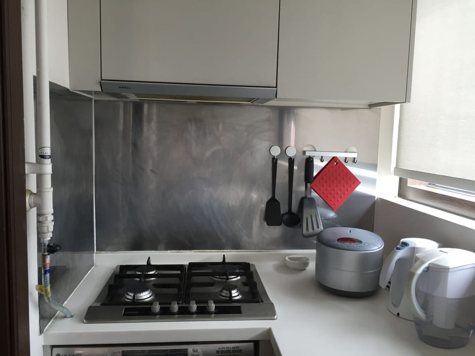 Secondary stove area in the utility room
