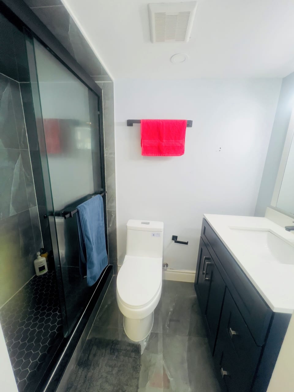 Renovated Washroom with Standing Shower