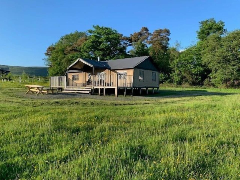 Lantern and Larks - Plover Bleasdale