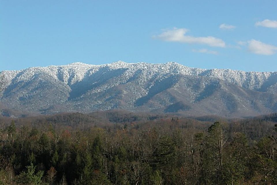 566lBsfiaKjXB-20210425182806