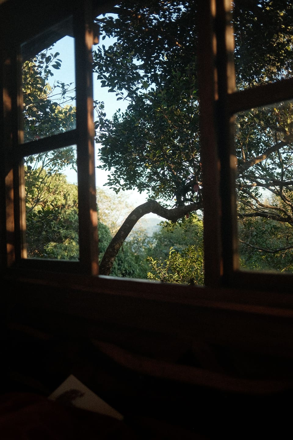 View from property