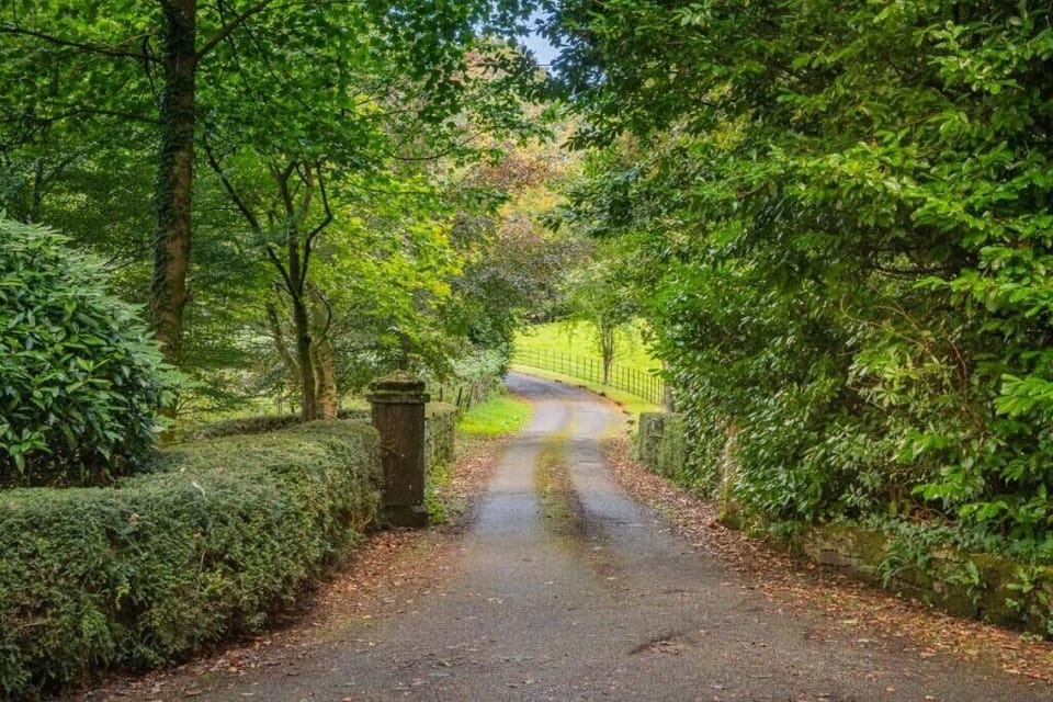 The lovely secluded drive into Summerlands Hall
