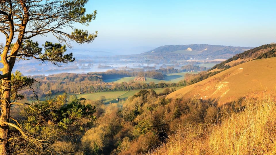 North downs from reigate hill surrey 1475358