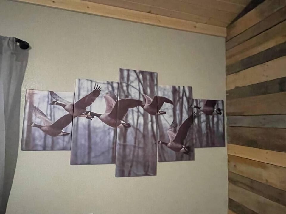 Our Goose artwork