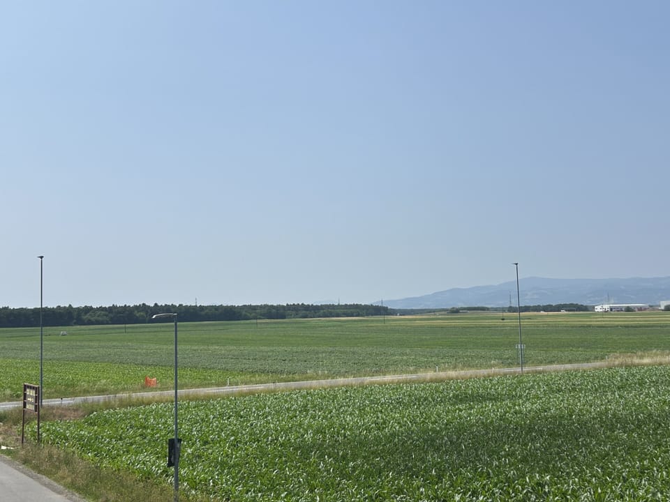 Area