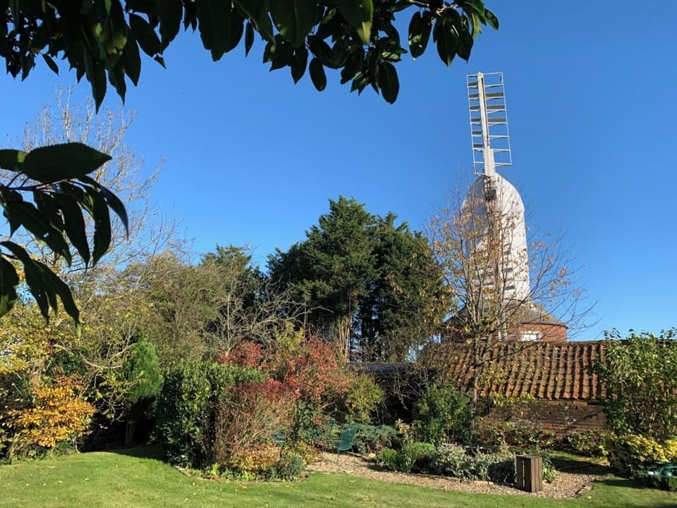 The Garden and Windmill