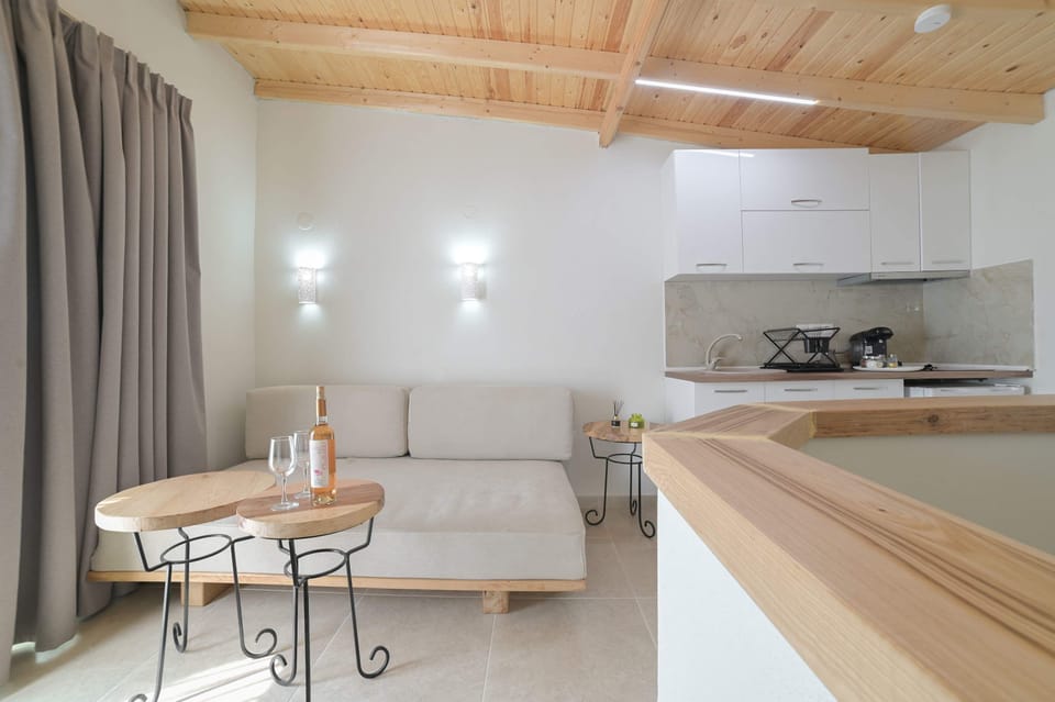 Spacious Open-plan Living Room with Sofa and Fully Equipped Kitchen

