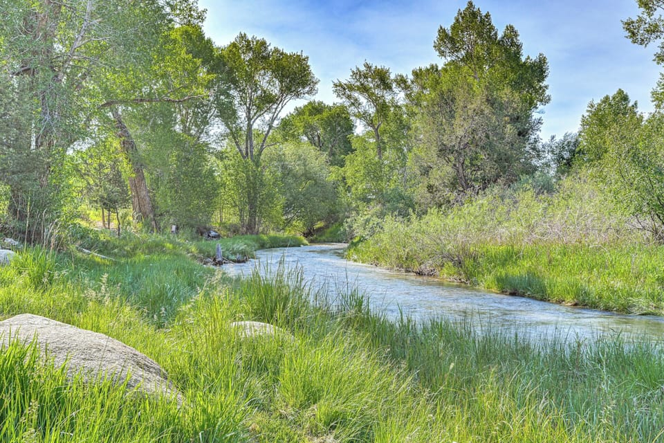 Buena Vista Vacation Rental | 3BR | 2BA | 1,800 Sq Ft | 4 Steps to Enter