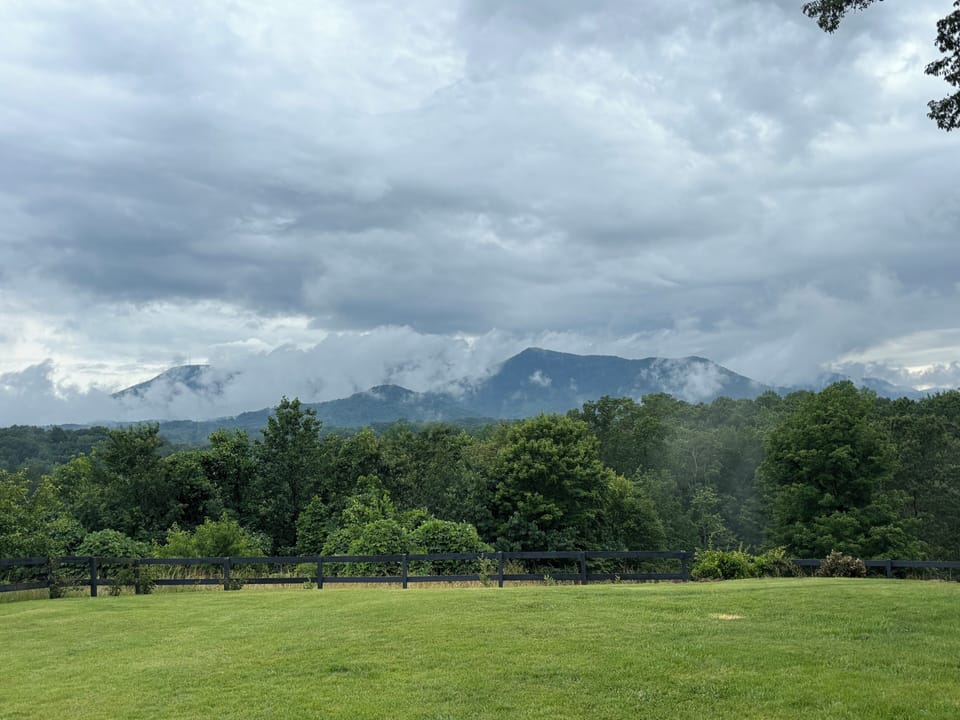 Mystic mists after a rainstorm