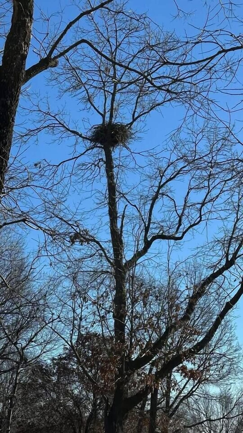 Our neighborhood boasts some interesting homes and architecture. We encourage you to explore the neighborhood by sticking to the roads for your safety and other's privacy. The blessing of undeveloped land is its wildness.... and also, it's danger. 