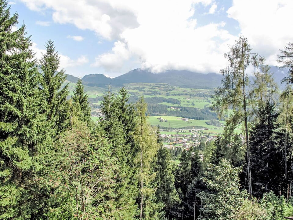 Mountainous Landforms, Tree, Natural Environment, Mountain, Vegetation, Highland, Hill, Wilderness, Forest