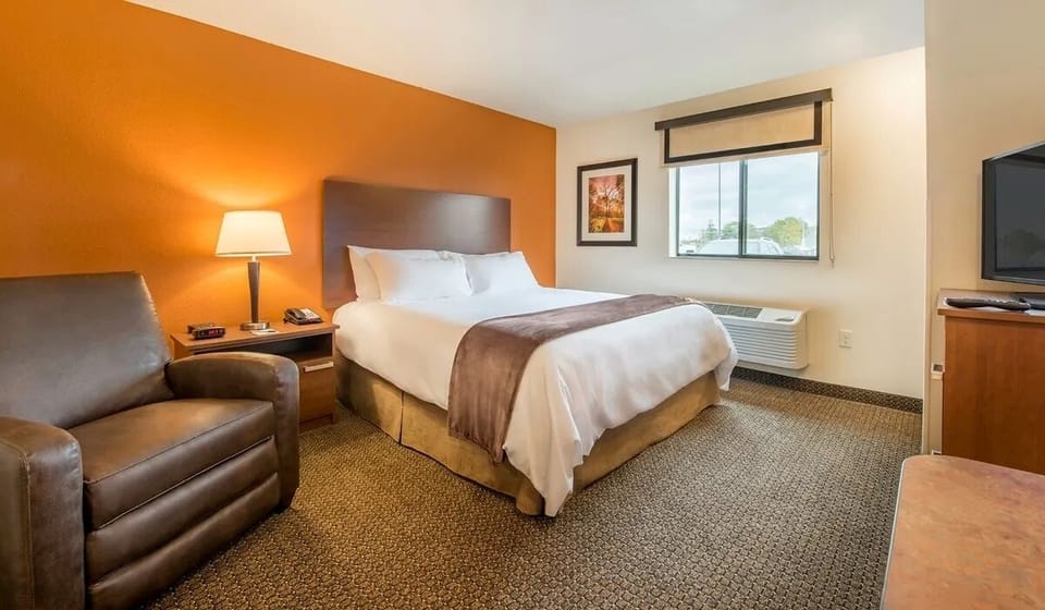 Unwind in a bright, cozy room with plush bedding.
