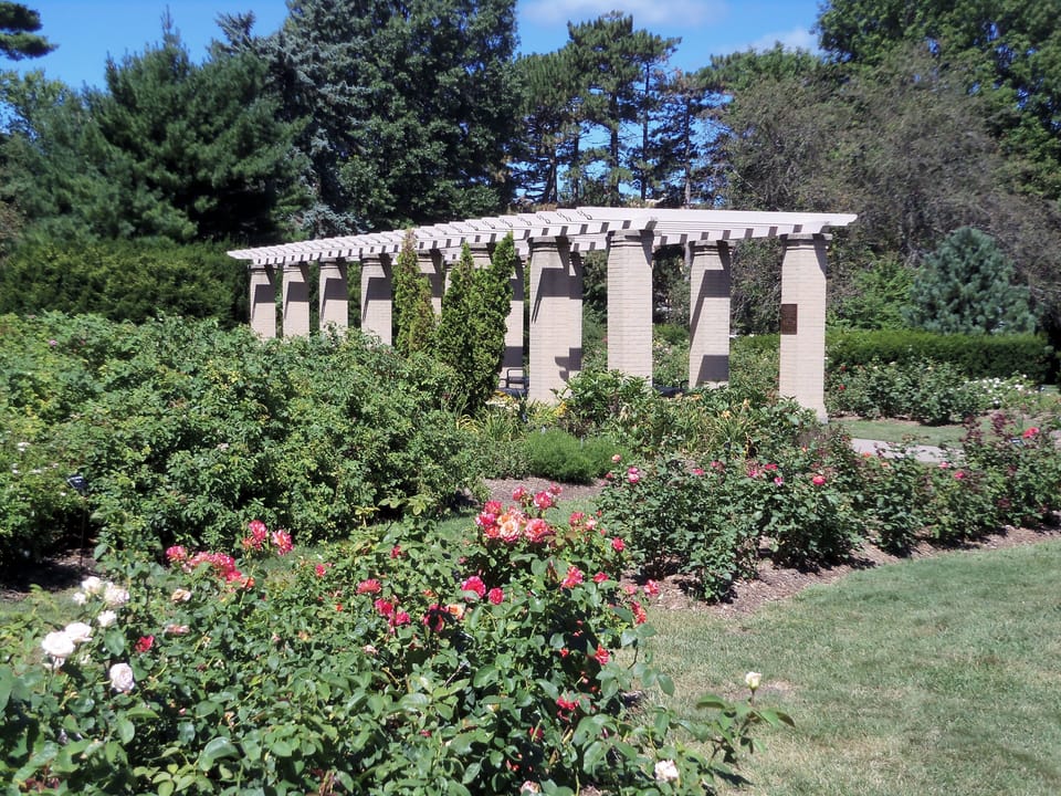 Wander through lush gardens and unwind beneath the pergola.